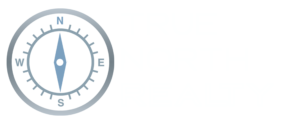 true north realty logo - transparent